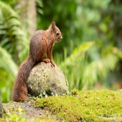 dsc_22053.jpg