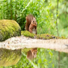 dsc_27163.jpg