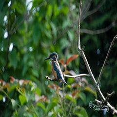 dsc_40522.jpg