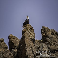 dsc_49532.jpg