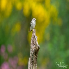 dsc_93193.jpg