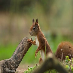 dsc_88553.jpg