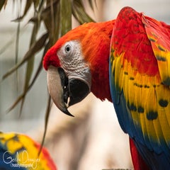 dsc_16392.jpg