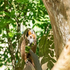 dsc_09403.jpg