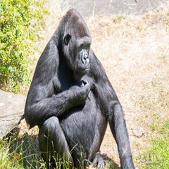 dsc_10773.jpg