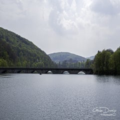 dsc_08332.jpg