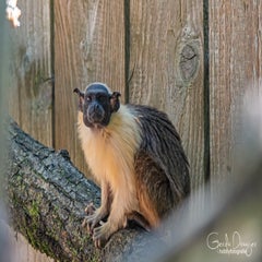 dsc_13793.jpg