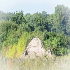 dsc_28132.jpg