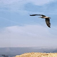 Afbeelding101-1.jpg