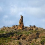 DSCN3274.jpg