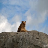 DSC_0653.jpg