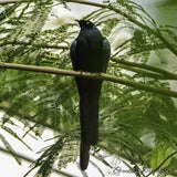 DSC_35002.jpg