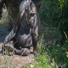 dsc_10643.jpg