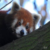 DSCN2651.jpg