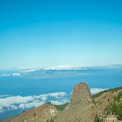 dsc_50302.jpg
