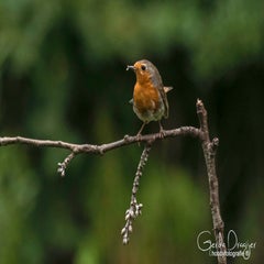dsc_34762.jpg