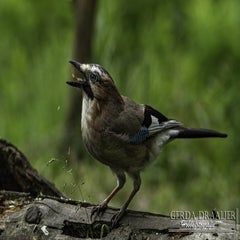 dsc_10482.jpg