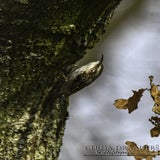 DSC_68472.jpg