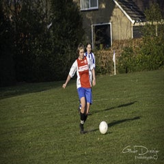 dsc_88092.jpg