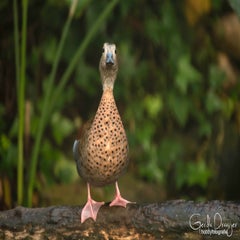 dsc_152732.jpg
