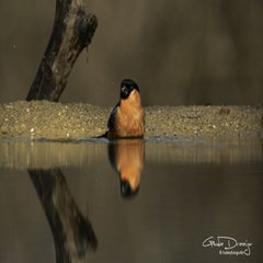 dsc_95512.jpg
