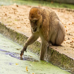 dsc_79393.jpg