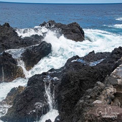 dsc_52182.jpg