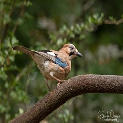 dsc_23103.jpg