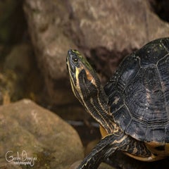 dsc_17692.jpg