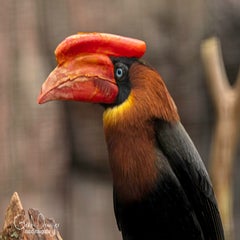 dsc_77292.jpg
