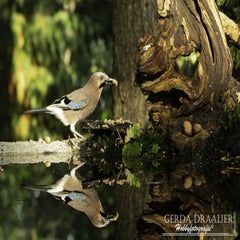 dsc_61482.jpg