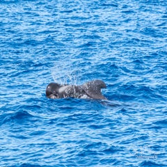 dsc_47873.jpg