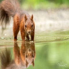 dsc_27193.jpg