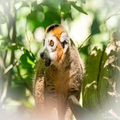 dsc_09473.jpg