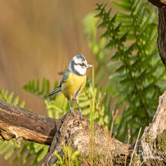 dsc_98903.jpg
