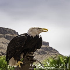 dsc_54912.jpg