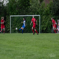 dsc_87612-1.jpg