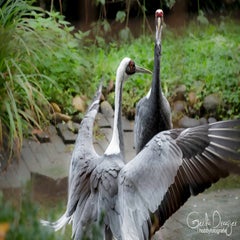 dsc_80343.jpg