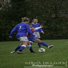 DSC_78172.jpg
