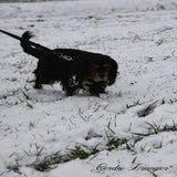 DSC_54292.jpg