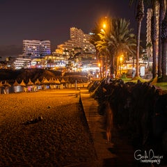 dsc_47063.jpg