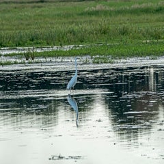 dsc_28022.jpg