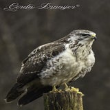 DSC_56872.jpg