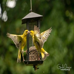 dsc_32792.jpg