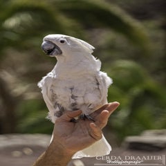 dsc_52322-1.jpg