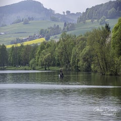 dsc_08272.jpg