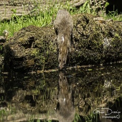 dsc_12132.jpg