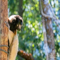 dsc_14363.jpg