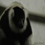 DSC_34142.jpg