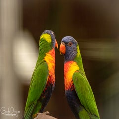 dsc_17943.jpg
